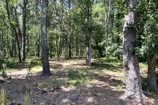 591 Old Bass River Rd, Dennis, MA 02638 - Photo 20