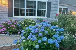 160 Quail Cover Ln, Eastham, MA 02642 - Photo 38