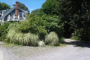 2485 Main St, Chatham, MA 02659 - Photo 14