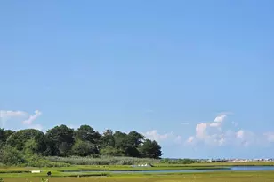 49 The Blvd, Edgartown, MA 02539 - Photo 16