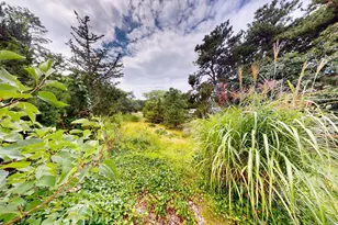 6 Pine Ridge End Rd, Truro, MA 02666 - Photo 64