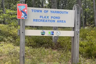 8 Barkley St, Yarmouth, MA 02664 - Photo 50