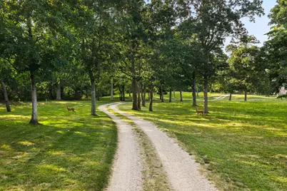 102 Sesuit Neck Road, Dennis, MA 02641 - Photo 4