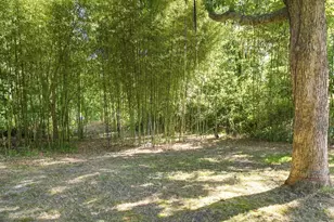 365 Chequessett Neck Rd, Wellfleet, MA 02667 - Photo 10