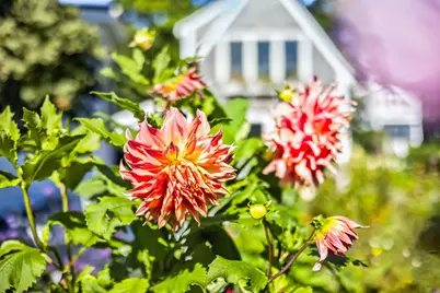 72A Commercial Street, Provincetown, MA 02657 - Photo 44