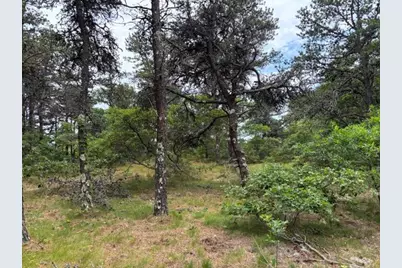 6 Longnook Lane, Truro, MA 02652 - Photo 1