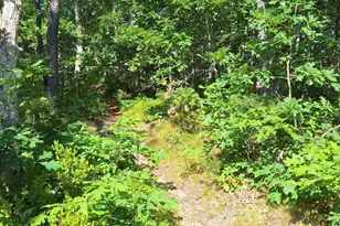 49 Oak Valley Rd, Wellfleet, MA 02667 - Photo 1