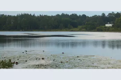 0 Drury Lane, Alford, FL 32420 - Photo 1