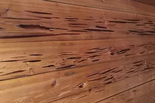 10012 Windsong Way, Blountstown, FL 32424 - Photo 70