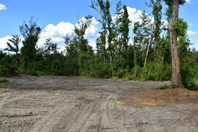 6621 Azalea Street, Panama City, FL 32404 - Photo 4