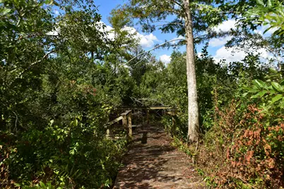 6621 Azalea Street, Panama City, FL 32404 - Photo 2