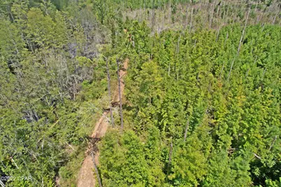 00 Perry Road, Cottondale, FL 32431 - Photo 16