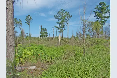 00 Perry Road, Cottondale, FL 32431 - Photo 14