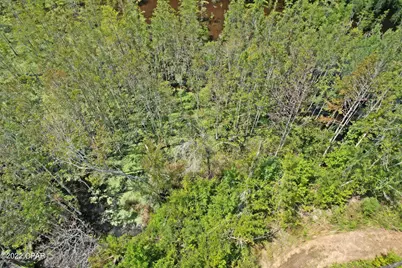 00 Perry Road, Cottondale, FL 32431 - Photo 6