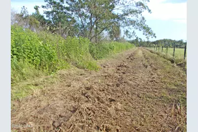 00 Perry Road, Cottondale, FL 32431 - Photo 10