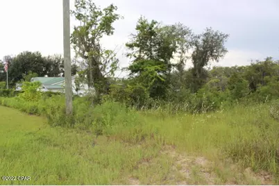 21558 NW Lake McKenzie Boulevard, Altha, FL 32421 - Photo 2