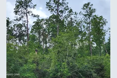 0 Reed Court #Lot 14, Alford, FL 32420 - Photo 8