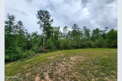 0 Reed Court #Lot 14, Alford, FL 32420 - Photo 6