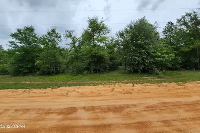 0 Onida Street #Lot 5, Alford, FL 32420 - Photo 8