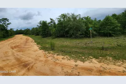 0 Onida Street #Lot 5, Alford, FL 32420 - Photo 6