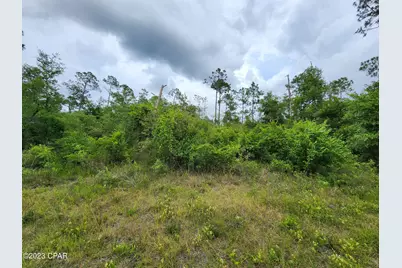 0 Edison Street #Lot 114, Alford, FL 32420 - Photo 8