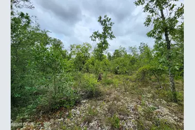 0 Military Court #Lot 6, Alford, FL 32420 - Photo 8