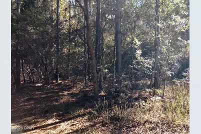 00 Little John, Bonifay, FL 32425 - Photo 1