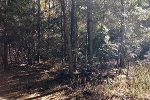 00 Little John, Bonifay, FL 32425 - Photo 1