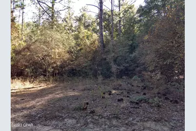 000 Little John Lane, Bonifay, FL 32425 - Photo 2