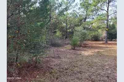 00 NW Tommy Tucker Road #Lot 1, Altha, FL 32421 - Photo 20