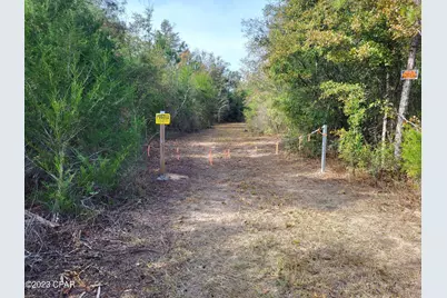 00 NW Tommy Tucker Road #Lot 1, Altha, FL 32421 - Photo 14