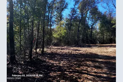 00 NW Tommy Tucker Road #Lot 1, Altha, FL 32421 - Photo 12