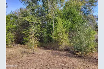 00 NW Tommy Tucker Road #Lot 1, Altha, FL 32421 - Photo 22
