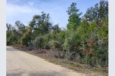 00 NW Tommy Tucker Road #Lot 1, Altha, FL 32421 - Photo 16