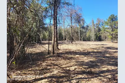 00 NW Tommy Tucker Road #Lot 1, Altha, FL 32421 - Photo 6
