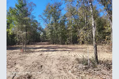 00 Tommy Tucker Road #Lot 2, Altha, FL 32421 - Photo 2