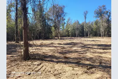 00 Tommy Tucker Road #Lot 2, Altha, FL 32421 - Photo 10