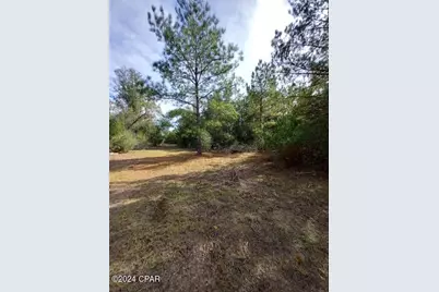 00 Tommy Tucker Road #Lot 2, Altha, FL 32421 - Photo 26