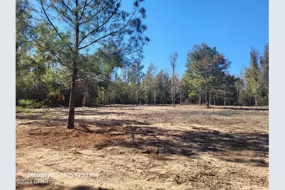 00 Tommy Tucker Road #Lot 2, Altha, FL 32421 - Photo 8
