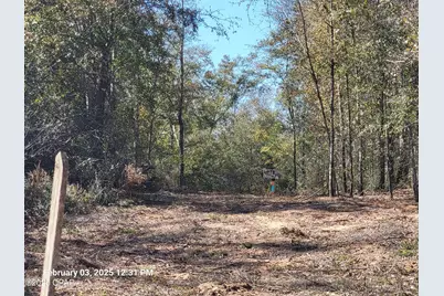 00 Tommy Tucker Road #Lot 2, Altha, FL 32421 - Photo 12