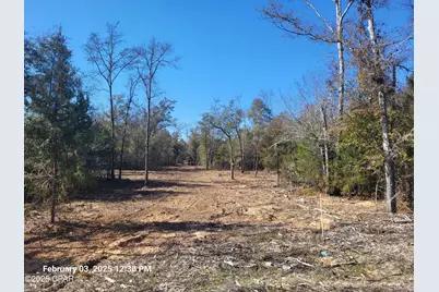 00 Tommy Tucker Road #Lot 4, Altha, FL 32421 - Photo 16