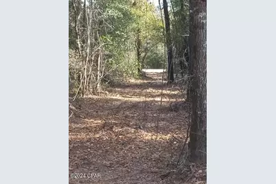 00 Tommy Tucker Road #Lot 4, Altha, FL 32421 - Photo 22