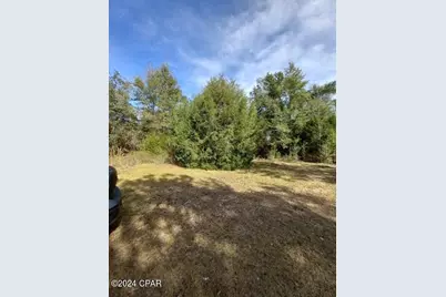 00 Tommy Tucker Road #Lot 4, Altha, FL 32421 - Photo 20