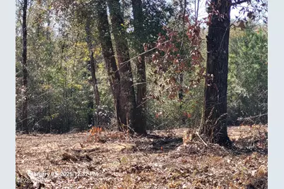 00 Tommy Tucker Road #Lot 3, Altha, FL 32421 - Photo 2