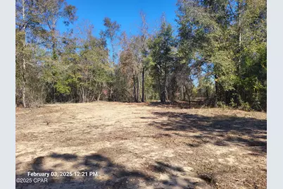 00 Tommy Tucker Road #Lot 3, Altha, FL 32421 - Photo 4