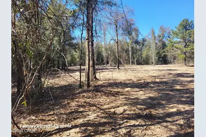 00 Tommy Tucker Road #Lot 3, Altha, FL 32421 - Photo 12