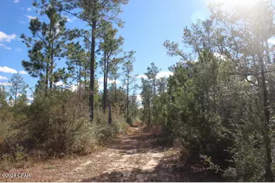 5015 NW County Road 274, Altha, FL 32421 - Photo 8