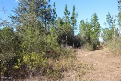 5015 NW County Road 274, Altha, FL 32421 - Photo 10