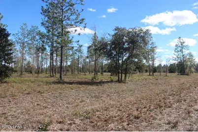 5015 NW County Road 274, Altha, FL 32421 - Photo 6
