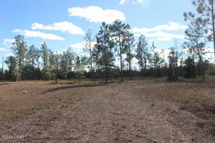 5015 NW County Rd 274, Altha, FL 32421 - Photo 1
